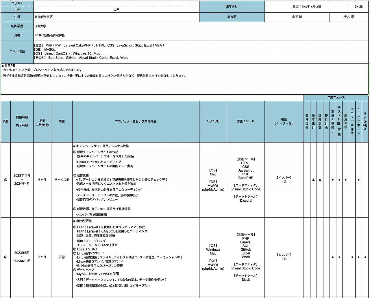 スキルシート見本